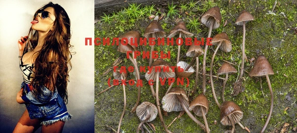 PSILOCYBIN Алексеевка